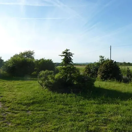Apartment De Bellefeuille A 20mn De Toulouse *