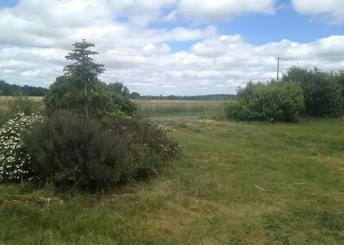 De Bellefeuille A 20mn De Toulouse Apartment Coufouleux